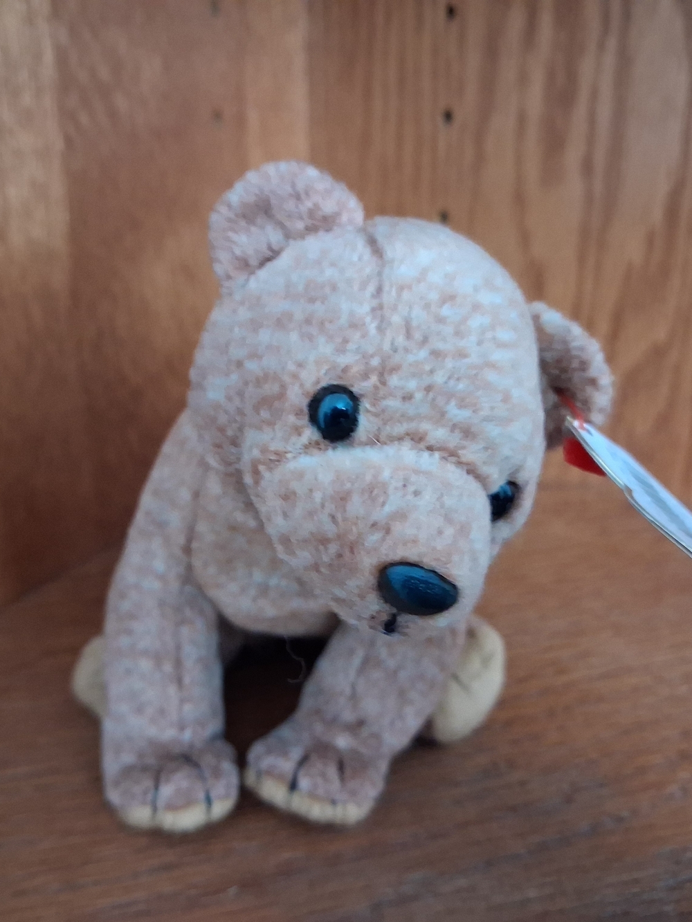 TY Beanie Baby Pecan 1999 | Brown Bear Plush | Vintage | Excellent Condition